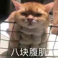 WR手机版QQ群西西QQ机器人词库