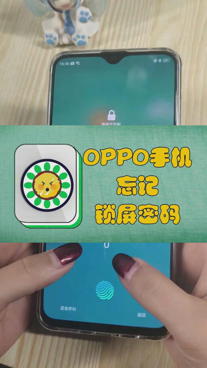 【视频教程】OPPO手机忘记密码怎么办