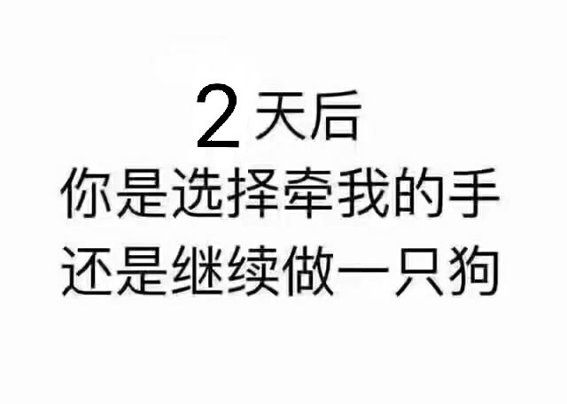 红米K20Pro MIUI10.3.16稳定