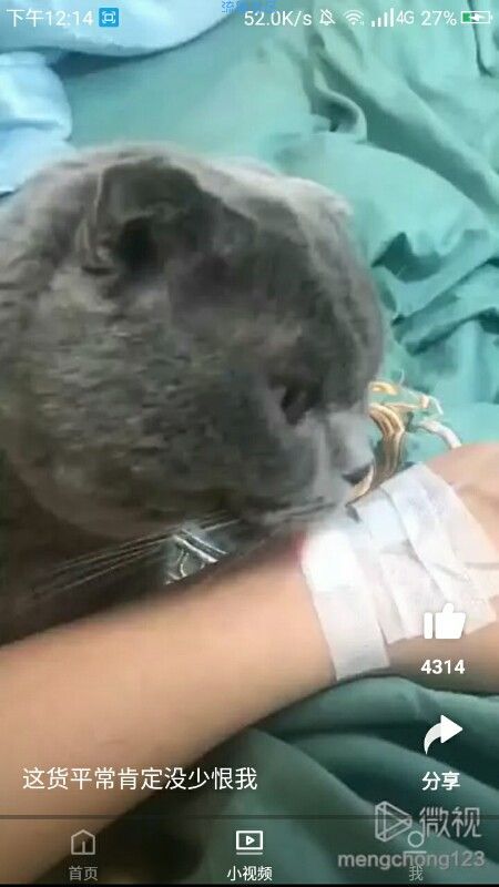 【推荐】腾讯视频_海外版_给力！