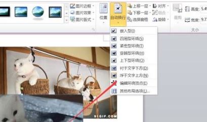 【小白教程】word图片与图片重叠怎么设置？word图片重叠设置
