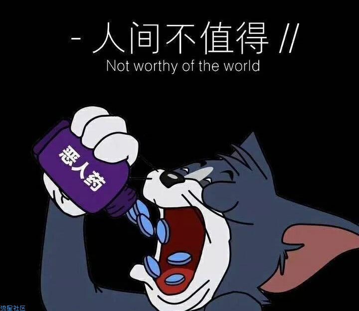 【资源分享】彩虹代刷各种插件模板