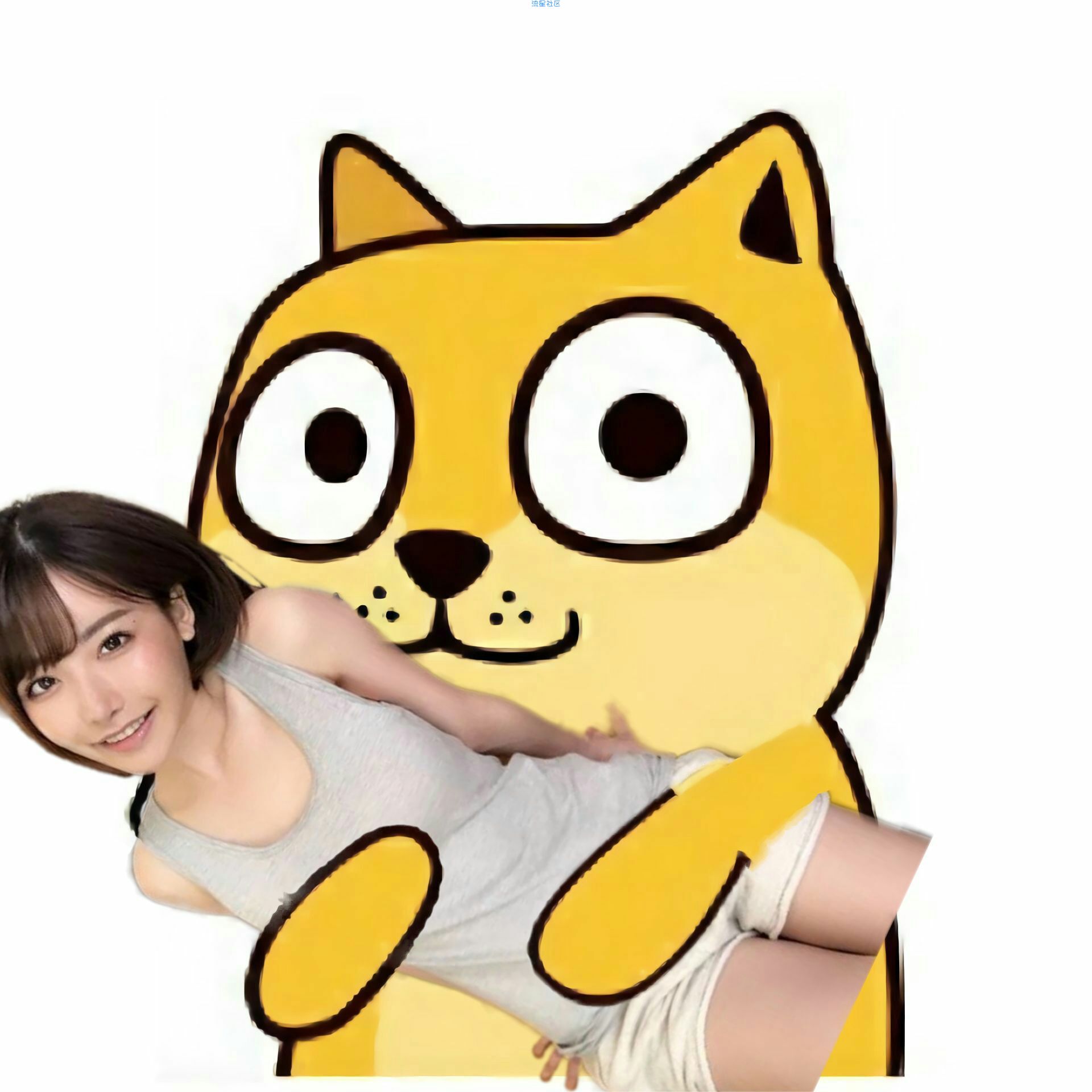 MIUI11For1+6T
