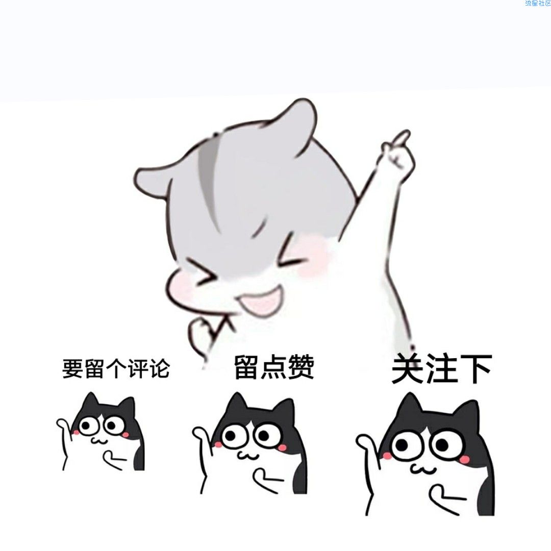 【软件美化】虞姬小姐姐，zw格式挂件