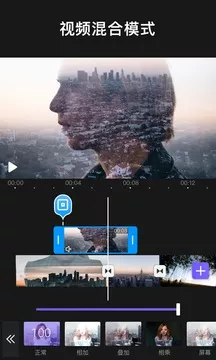 Videoleap 1.0.9  VIP破解版