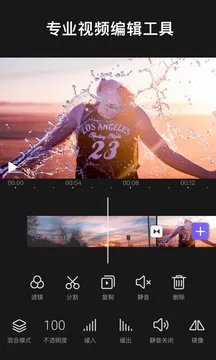 Videoleap 1.0.9  VIP破解版