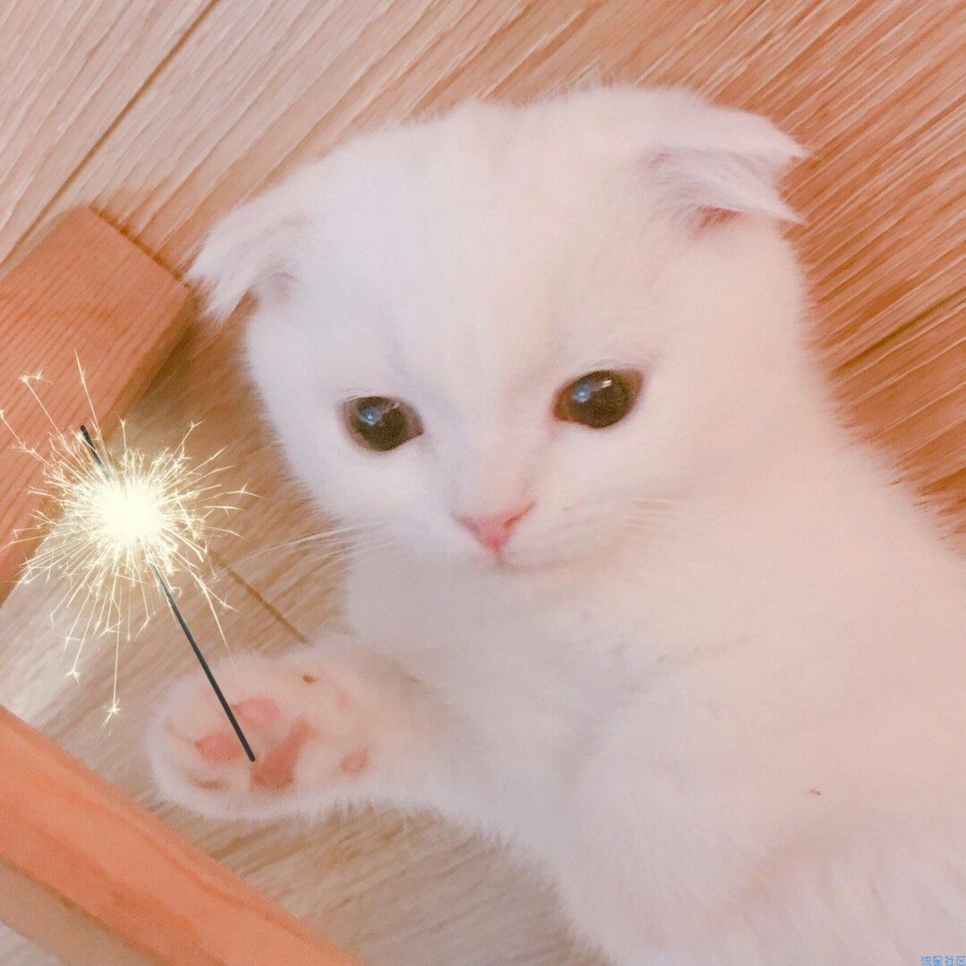 【艾玛真香】代刷国庆模版分享