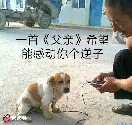 iapp防逆向