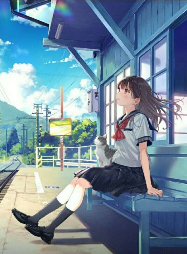 【zv-iapp下拉刷新+浏览器】