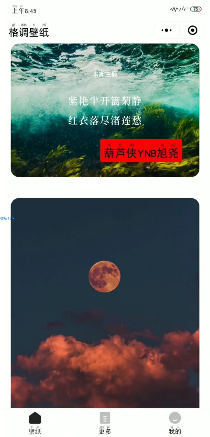 【小程序】格调壁纸 全都是无版权无水印可商用的壁纸 微信小程序