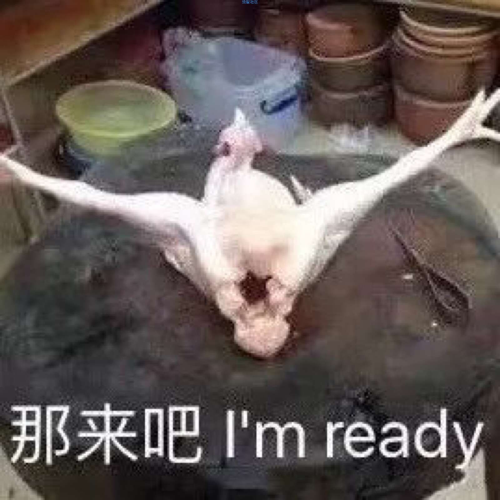 【车来了】老司机无风险，最新某盘超速下载方法！！！