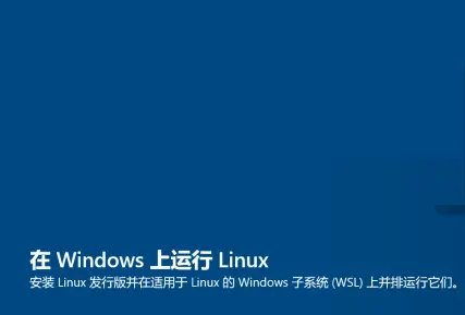 安装Linux的Windows子系统