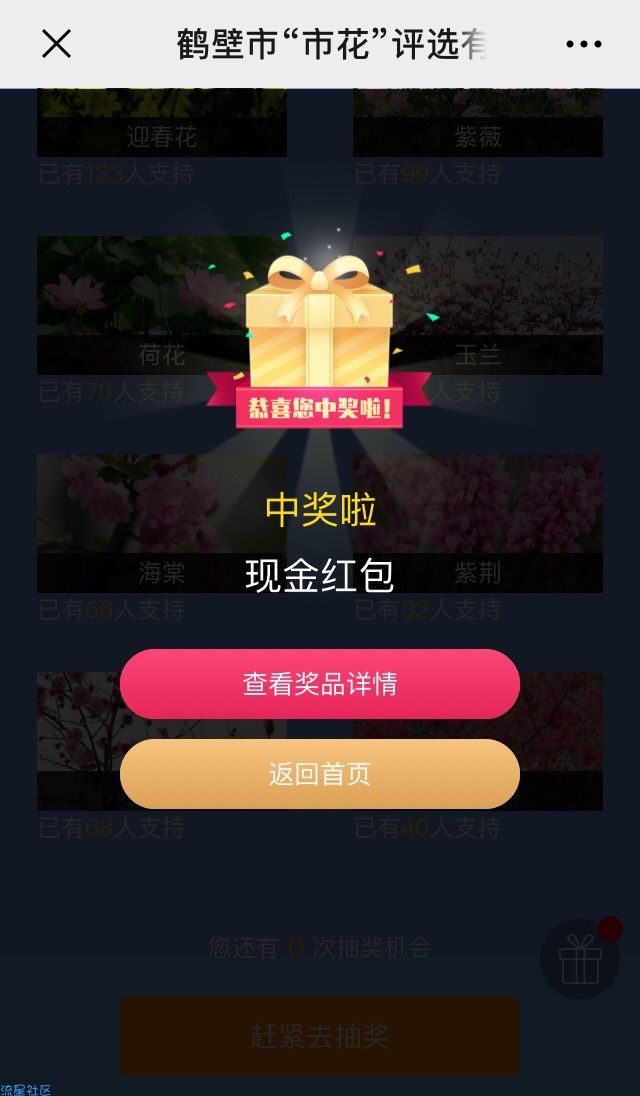 【现金红包】鹤壁新闻网投票抽红包，亲测1.03