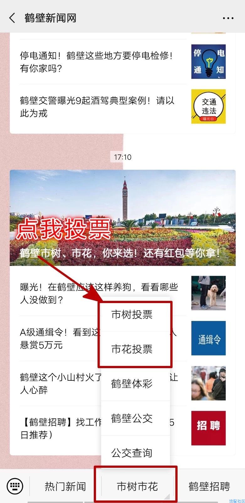 【现金红包】鹤壁新闻网投票抽红包，亲测1.03