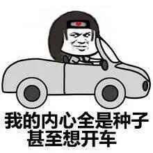 【软件分享】小说淘淘 1.0.10 淘你爱看的小说