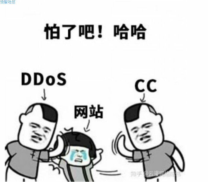 CC和DDOS的区别
