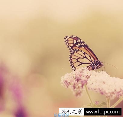  PS调色