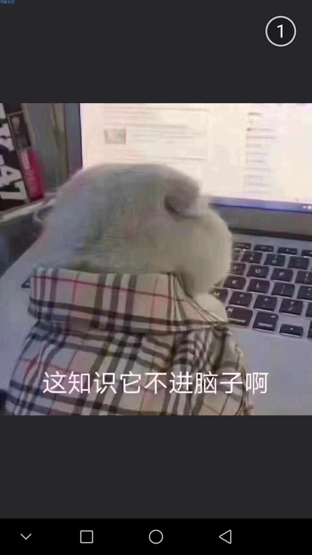 【教程】浅谈华为刷机