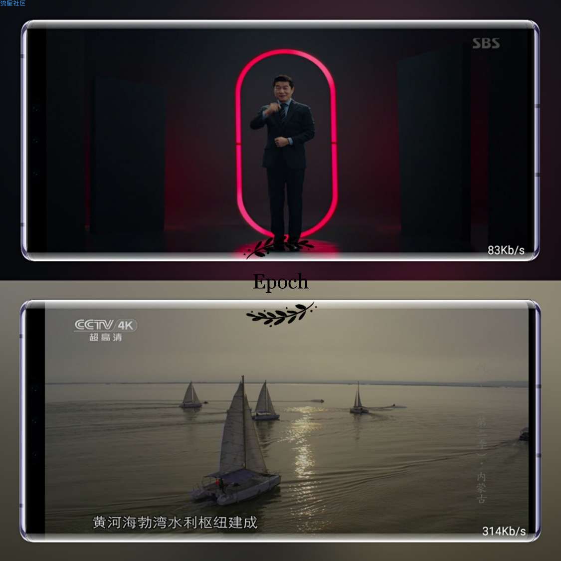 【资源分享】骆驼Live增强版 在线观看电视直播
