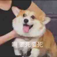 爬虫相关