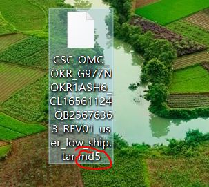 【小白教程】S10 5G最新固件安卓Q root教程