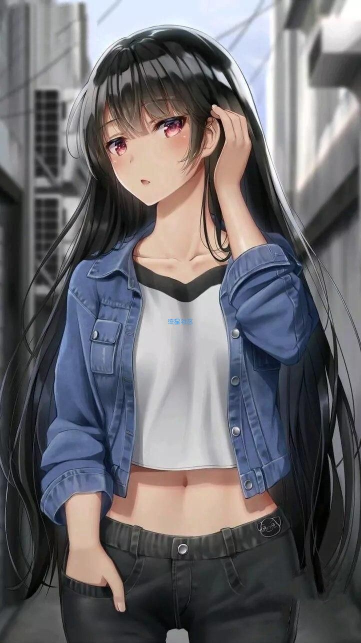 【网站搭建】swapidc付费插件免费使用