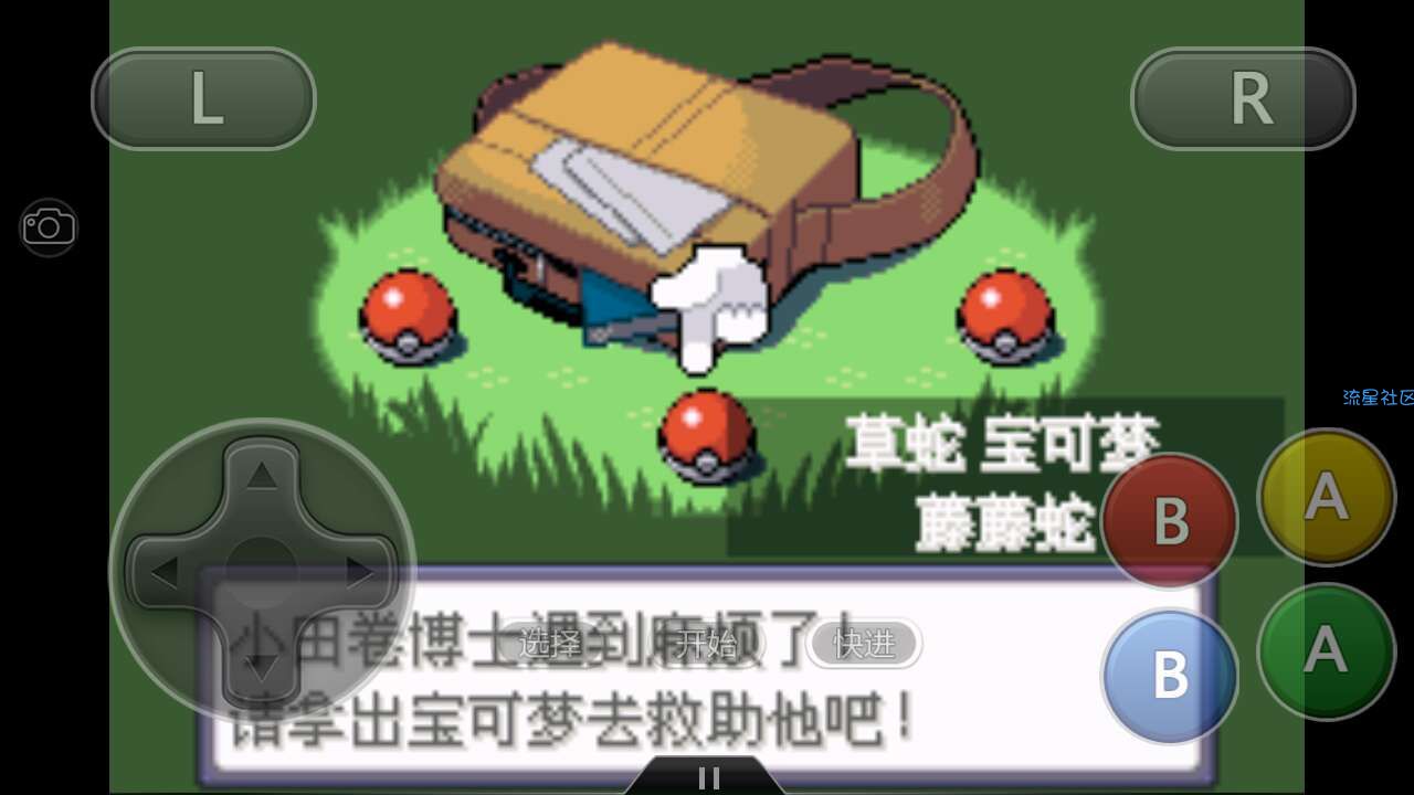  口袋妖怪（金手指）