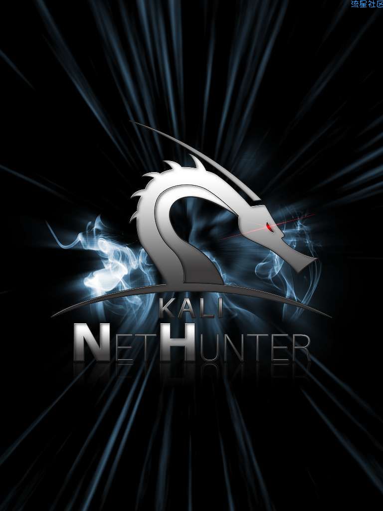 【Linux技术】:使用KALI Linux 渗透安卓手机