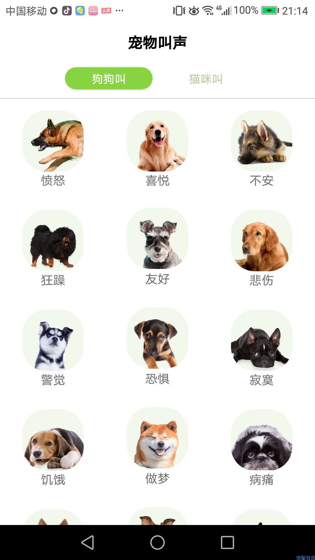 【资源分享】人狗人猫交流器（喜欢宠物的快来看看咯）