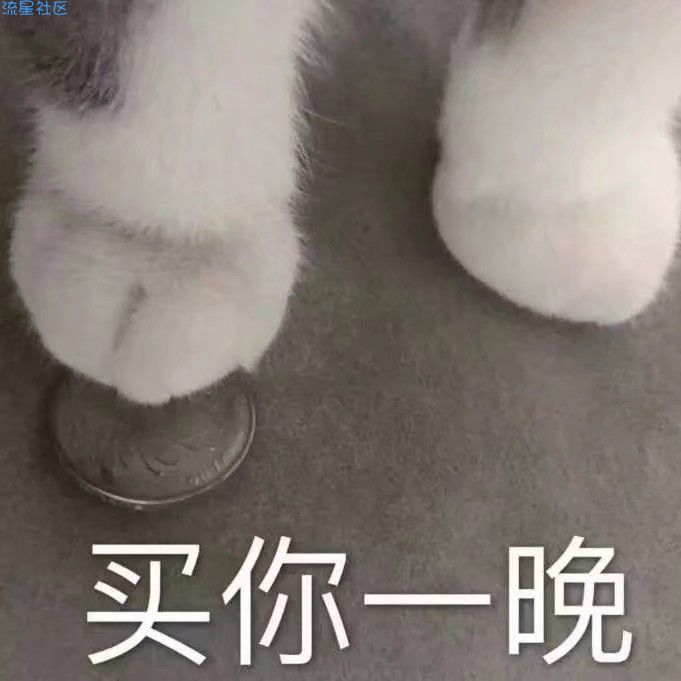 【小白教程】Win8设置静态IP地址失败的解决方法