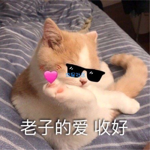 【小白教程】处理电脑开机密码忘记了怎么办