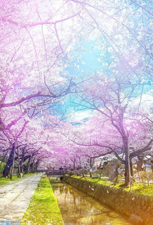  利用Photoshop将多张图片合并成PDF文件