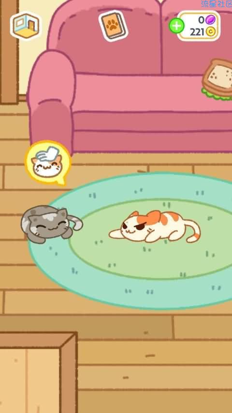  小偷猫