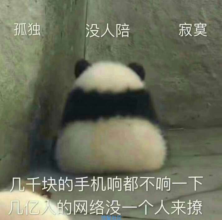  三星 (S7572) 清晰省电流畅 待机持久