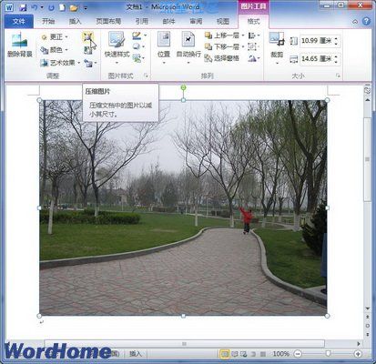  Word2010文档中怎么压缩图片