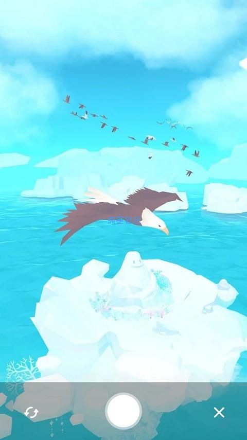  深海水族馆极地