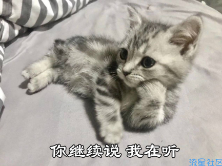 iapp源码变成压缩包