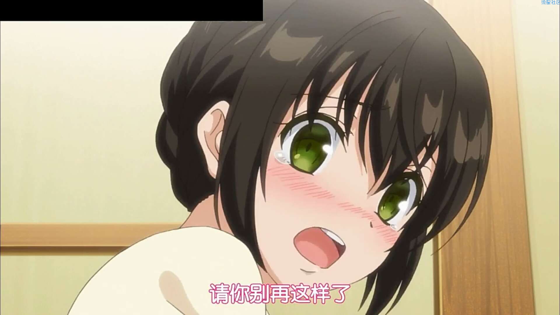 【分享】坏坏猫纯净版来咯v1.3.3，去除广告，搜遍全网！[爱心