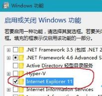 【小白检查】win10系统网页图片加载不出来该怎么办