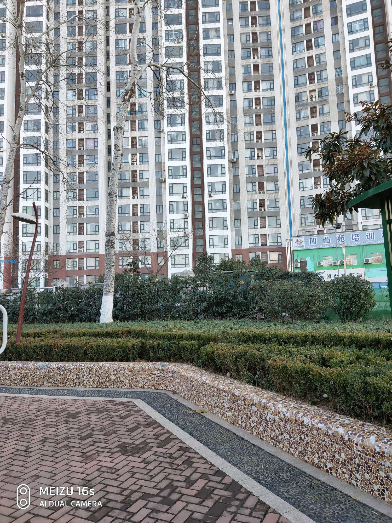  电脑上动态壁纸怎么设置？