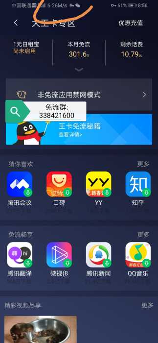 定向流量免流