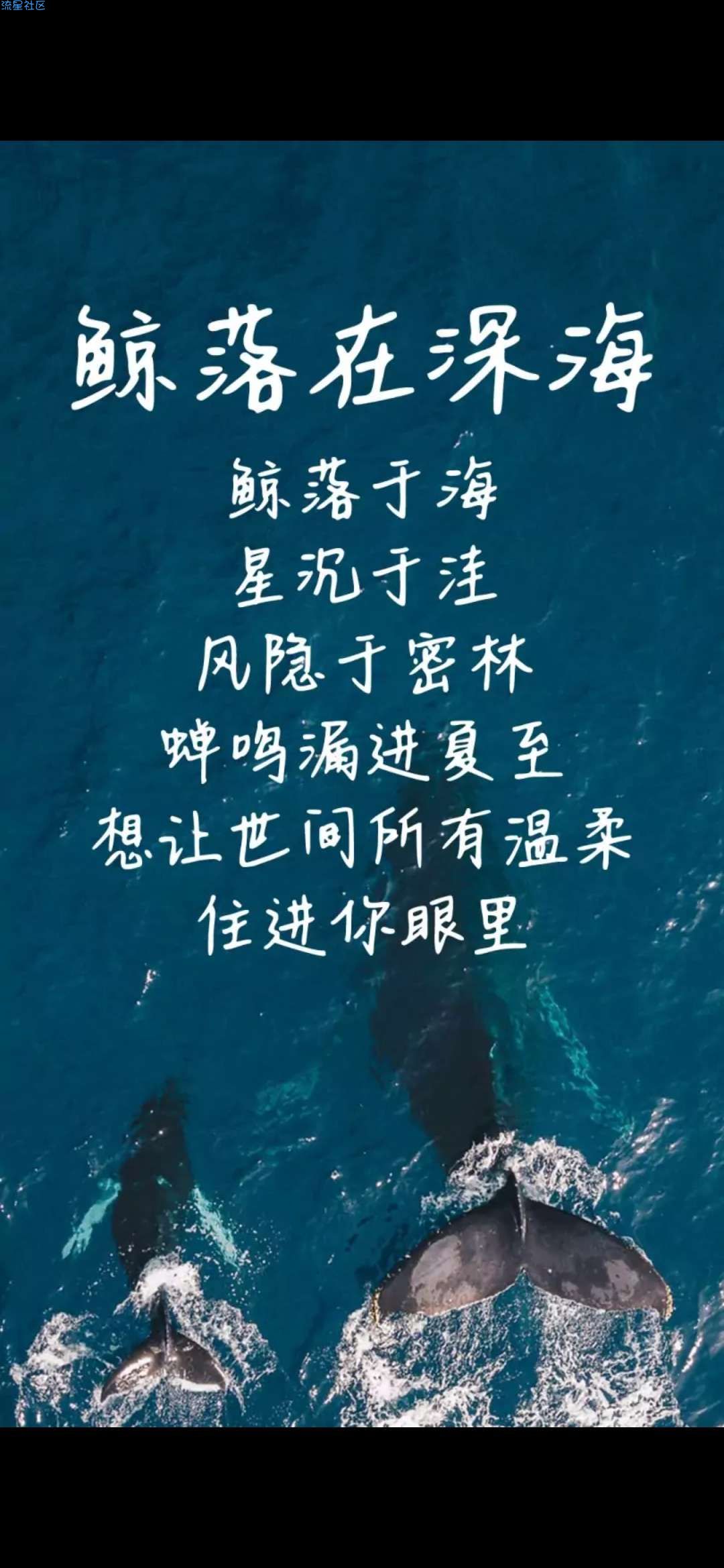 【字体】oppo直装字体鲸落在深海（含ttf）