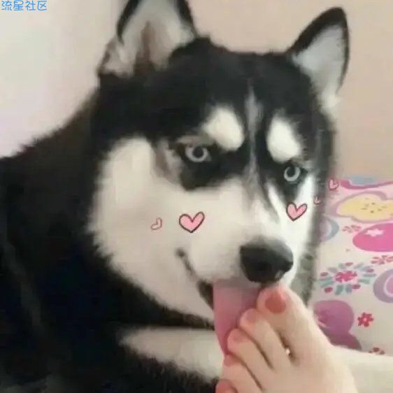 【端游推荐】孤岛惊魂:原始杀戮