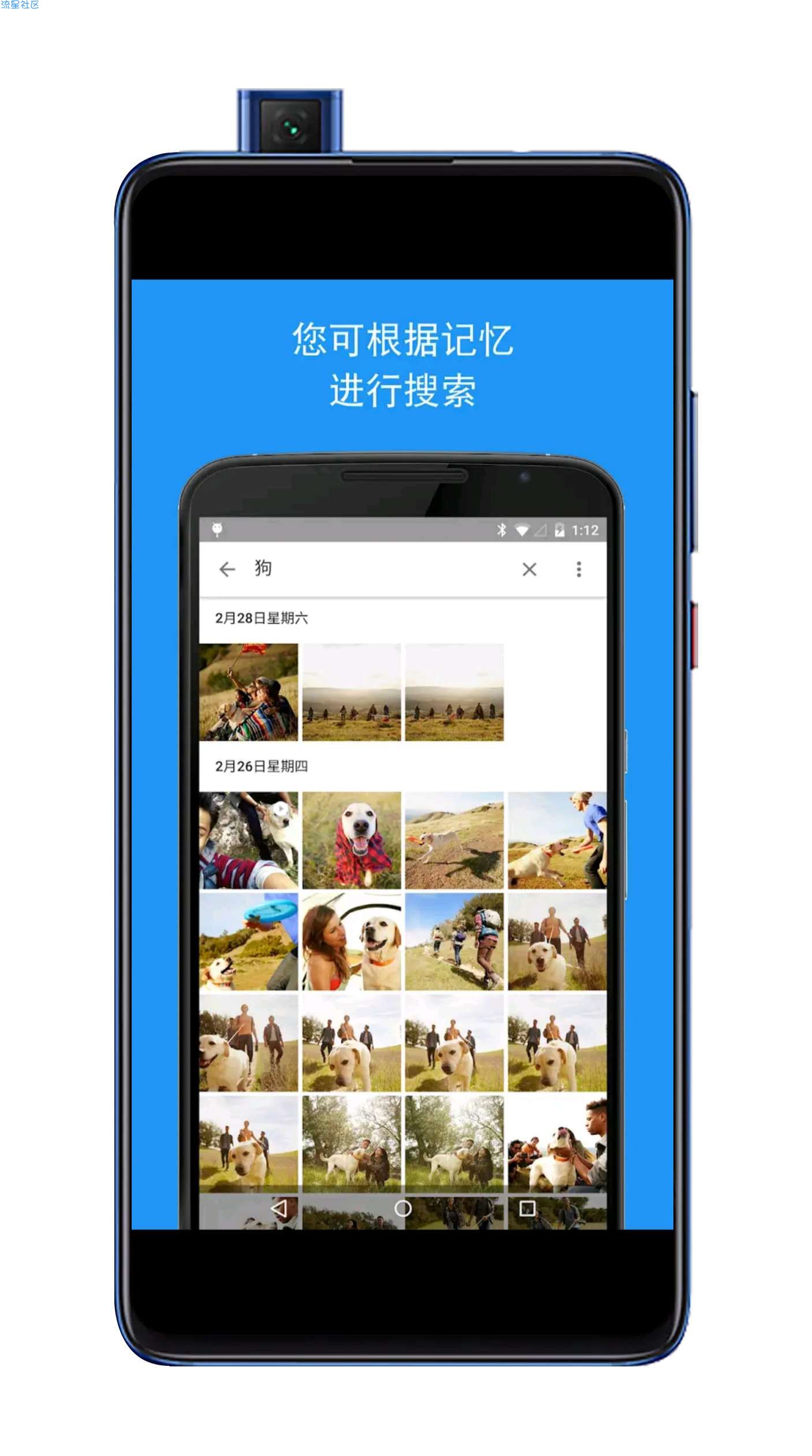 【软件分享】谷歌相册