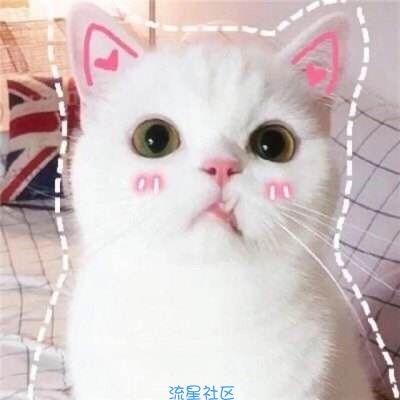 【字体】  今天分享一款OPPO直装字体（含tff）
