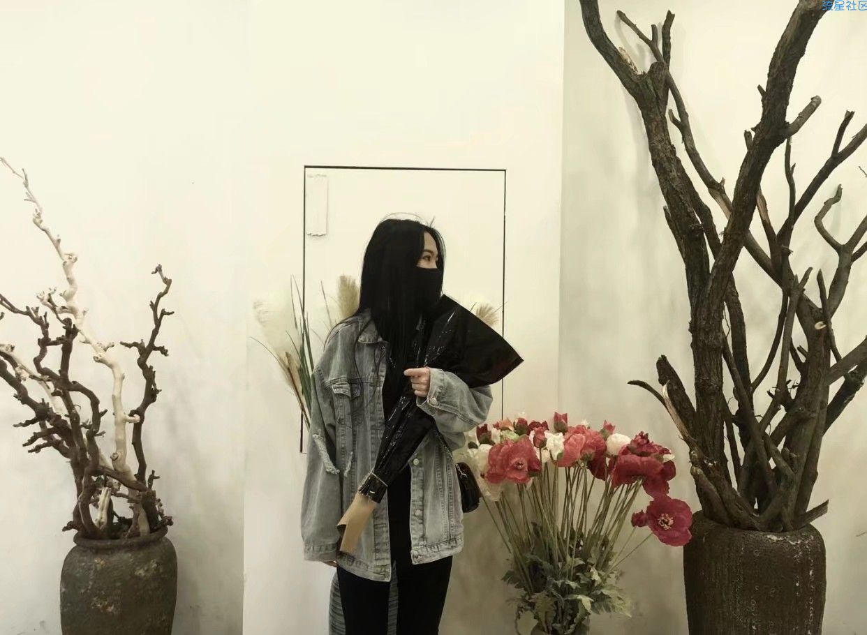  格力2代（G0215D全网通）