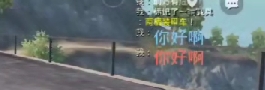 【网站搭建】和平精英装逼代码