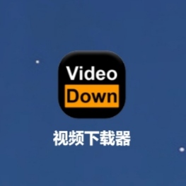 【分享】视频下载器1.0.09/可下载任何视频/直播也可下载