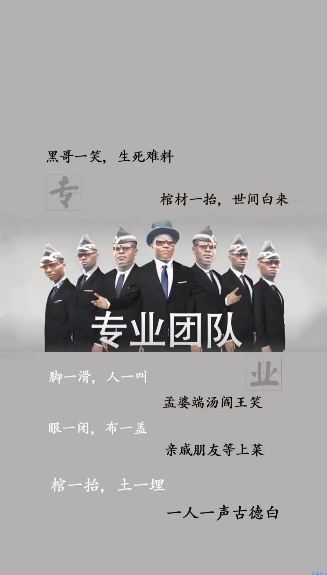 【白嫖】音乐解析源码