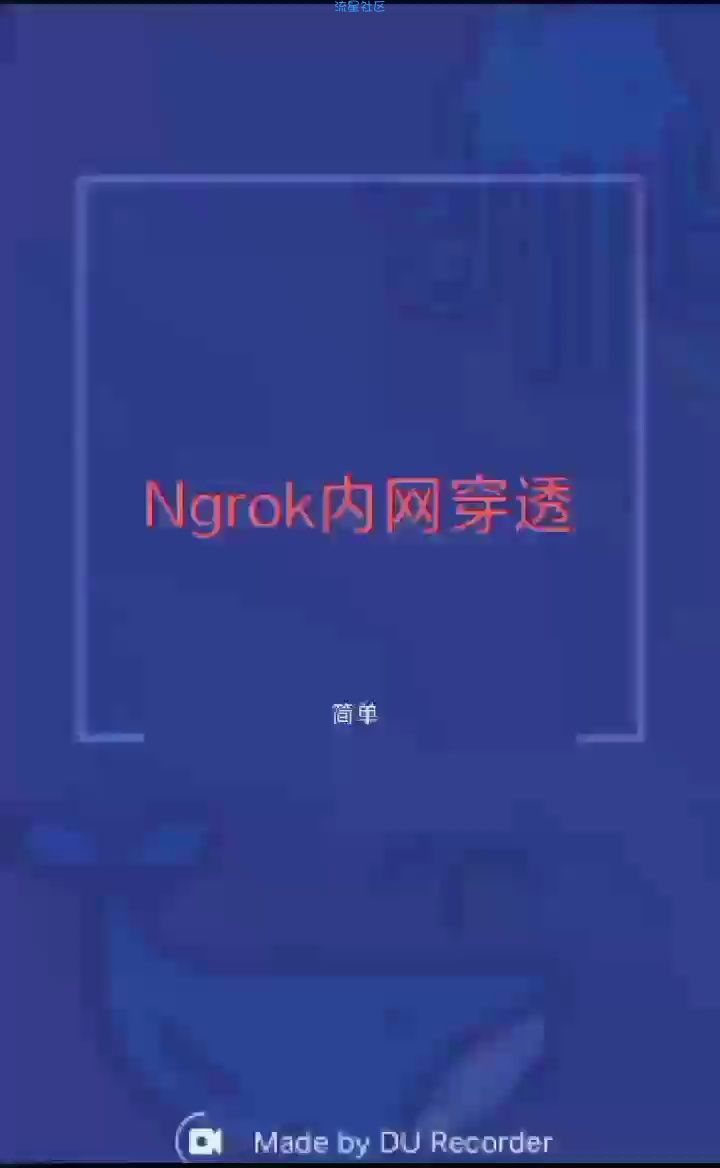 【原创教程】Ngrok内网映射